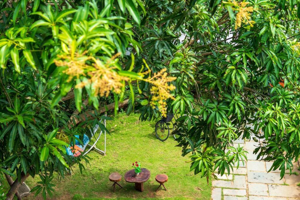 Flora Villa Hoi an By NEST Esterno foto